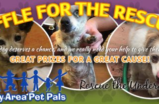 Raffle for the Rescues